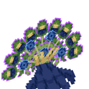 Peacock Tail